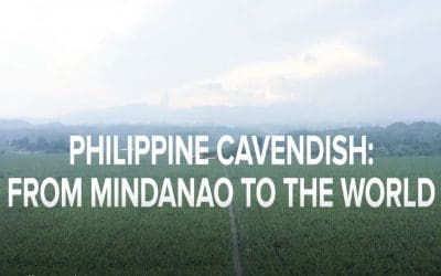 Philippine Cavendish: from Mindanao to the World