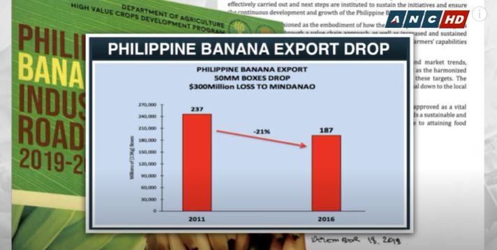 PH growers warn of coronavirus threat to Asia banana supply