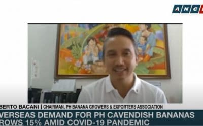 Overseas demand for PH cavendish bananas grows 15% amid COVID-19 pandemic | ANC