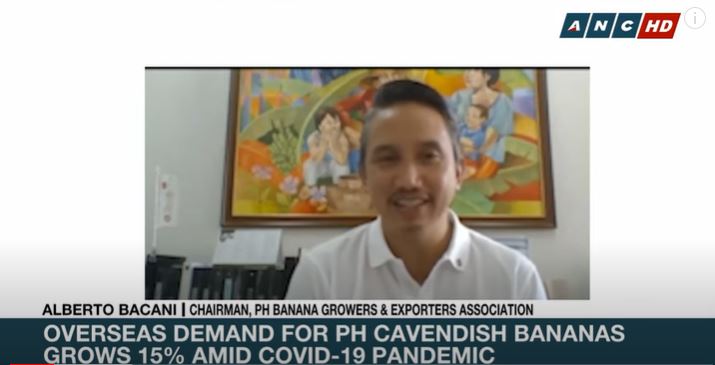 Overseas demand for PH cavendish bananas grows 15% amid COVID-19 pandemic | ANC